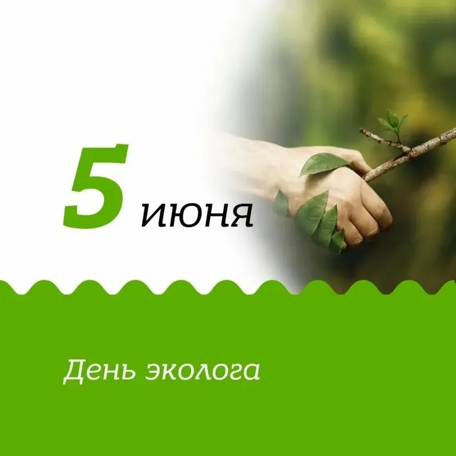 🌏 Сегодня - День эколога!
