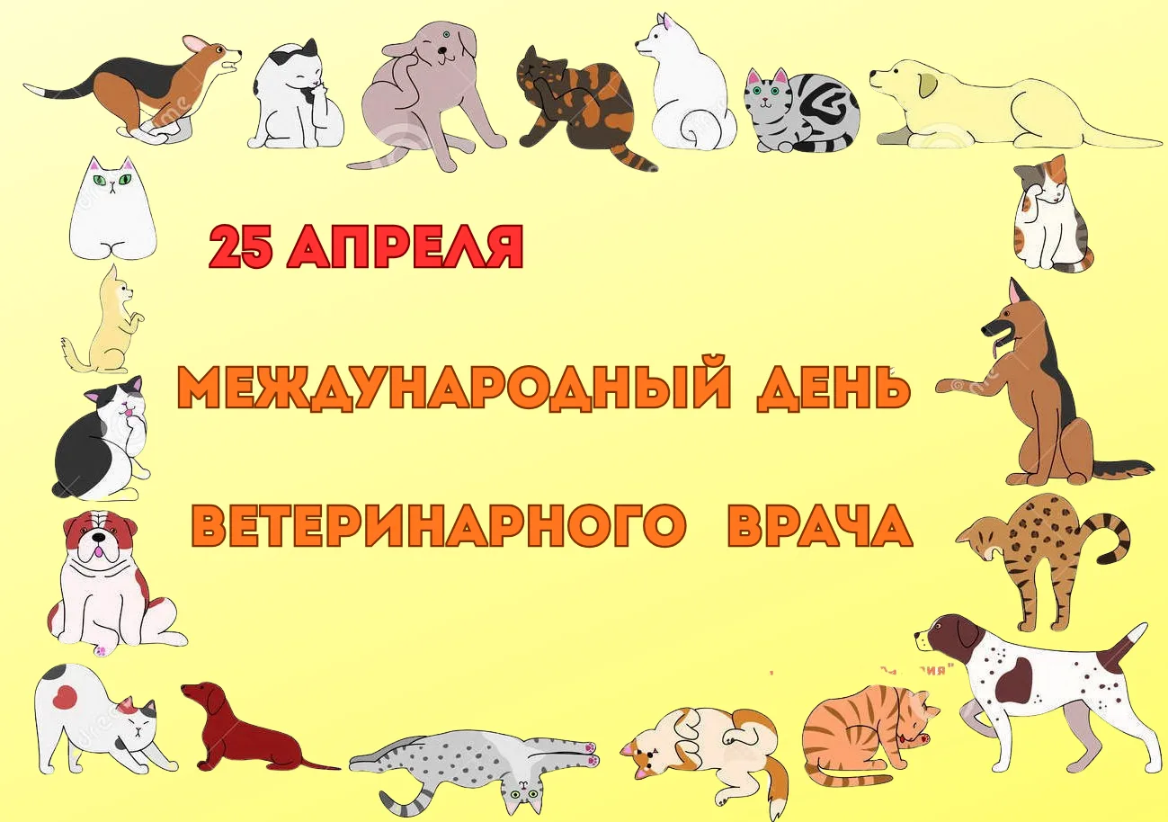 💥 С МЕЖДУНАРОДНЫМ ДНЁМ ВЕТЕРИНАРНОГО ВРАЧА ! 🩺
