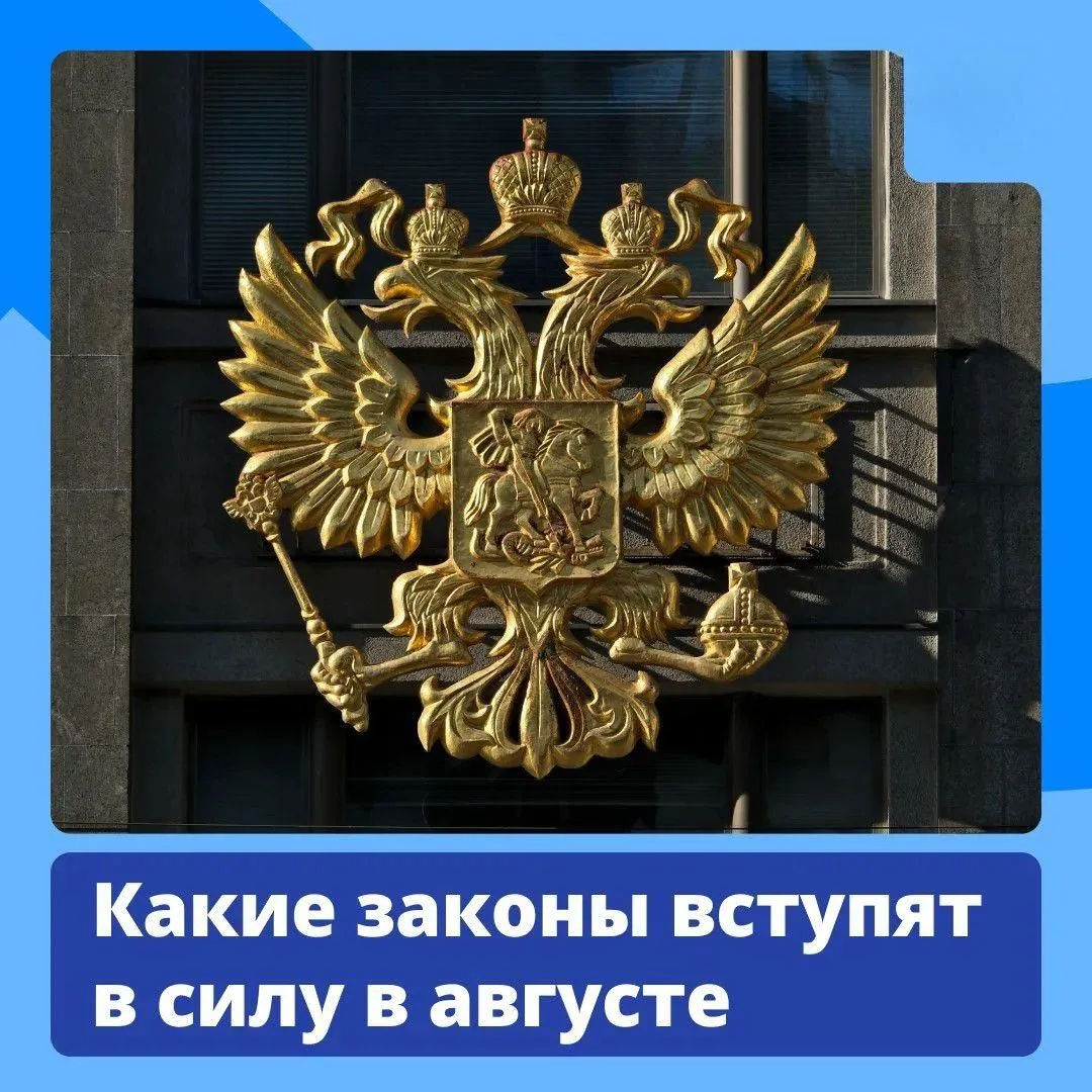 Работающим пенсионерам увеличат пенсии, самозанятые начнут получать выплаты по больничн...