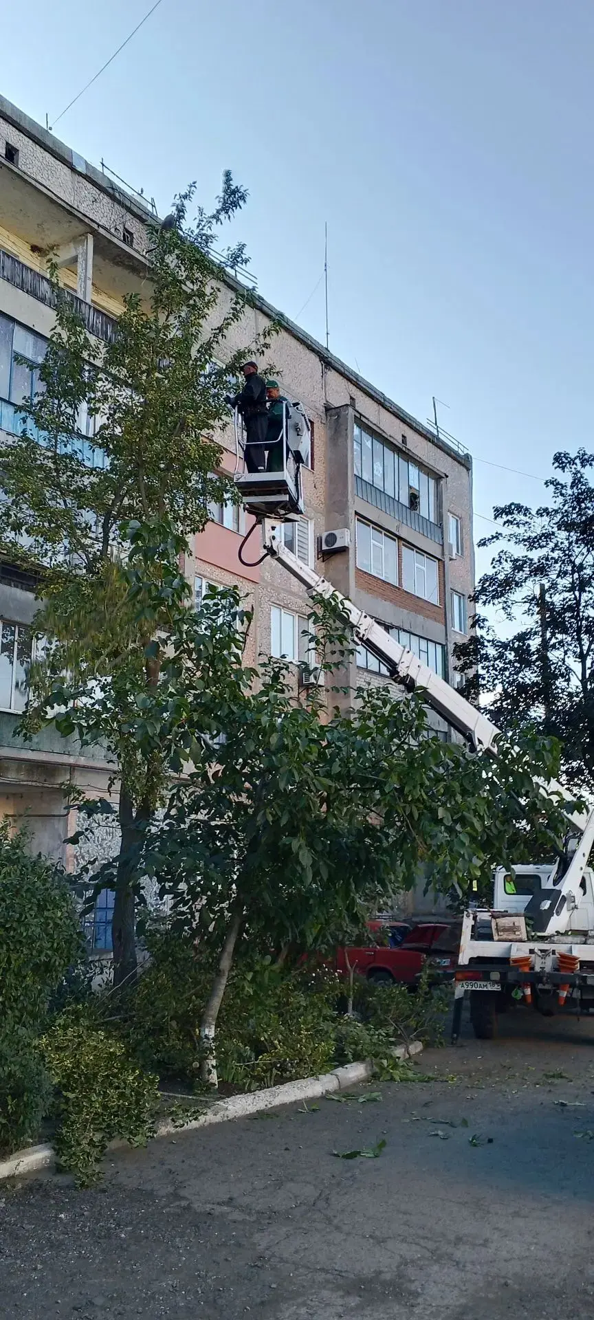 Омоложение дерева по обращению граждан по ул. Петраковского д. 1
