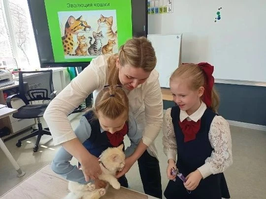 🟢Уроки с родителями! В 1В классе провела урок мама лицеистки Ковалёвой Алисии — Алла Алексеевна. Алл