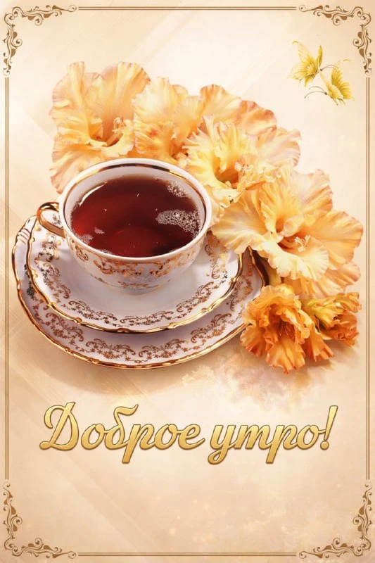НАШИ КАНАЛЫ: