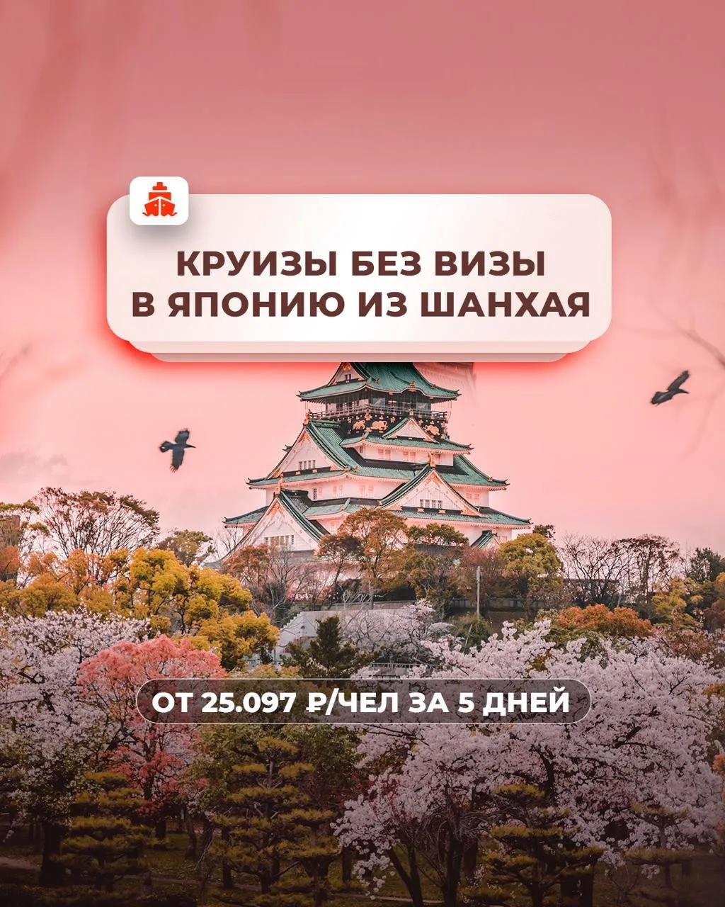 💬 Друзья, глядя на мои фото из отпуска: «Откуда только деньги берет?»