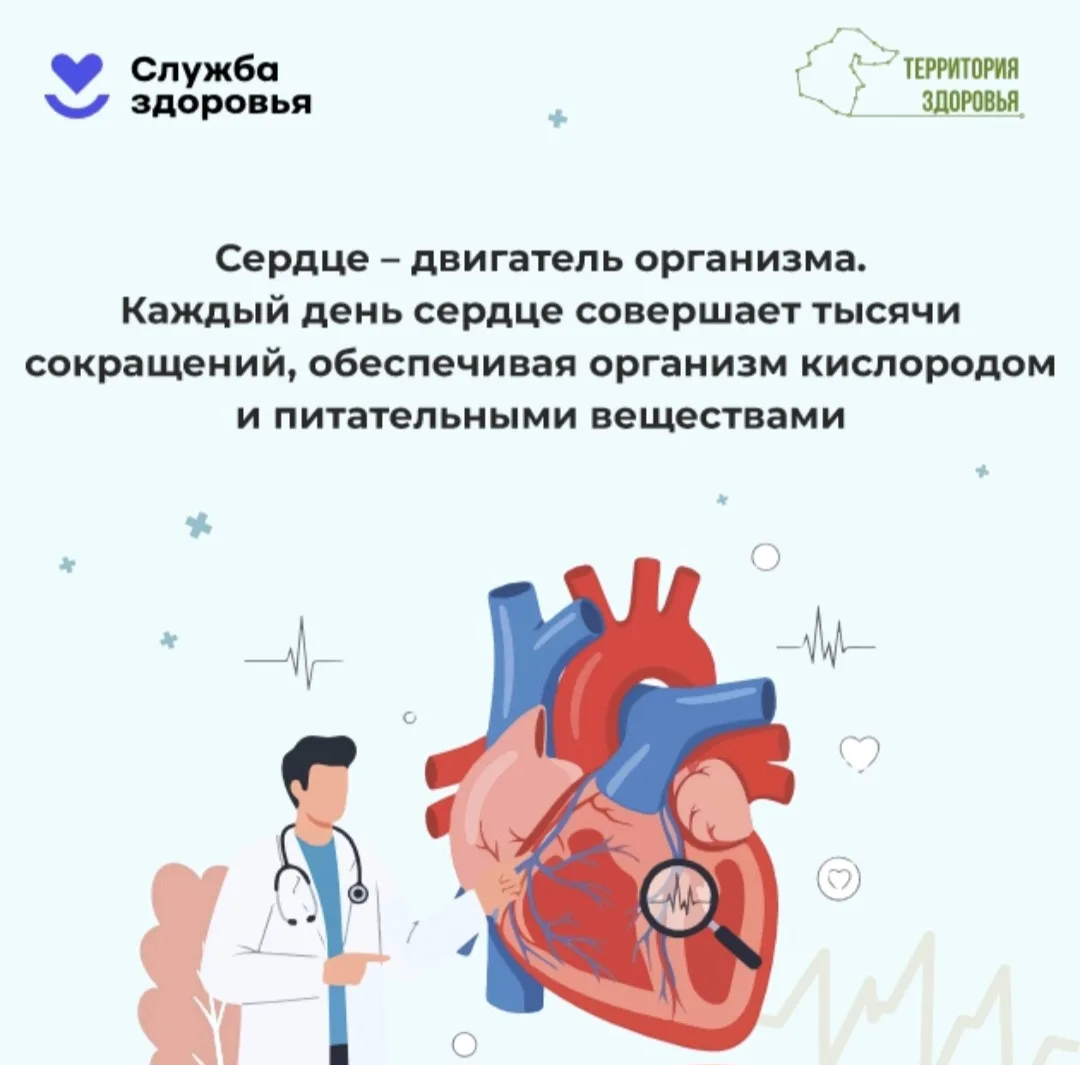 С 28 сентября по 4 октября пройдёт неделя ответственного отношения к сердцу