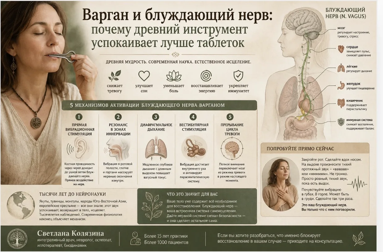 🎵 ВАРГАН И БЛУЖДАЮЩИЙ НЕРВ: ПОЧЕМУ ДРЕВНИЙ ИНСТРУМЕНТ УСПОКАИВАЕТ ЛУЧШЕ ТАБЛЕТОК