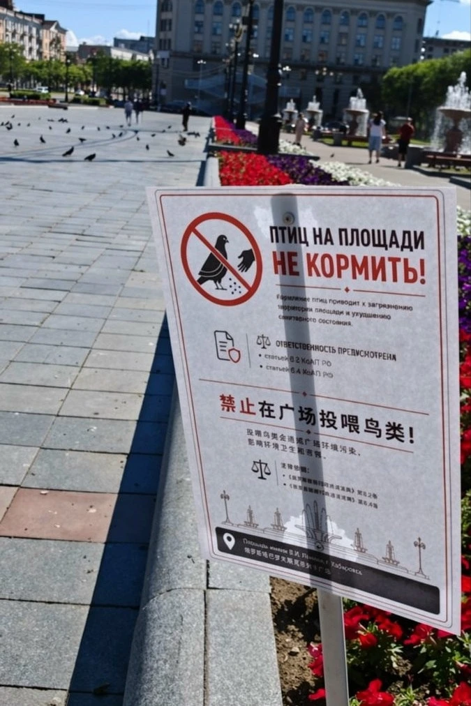 🕊 Голубей на площади Ленина кормить теперь запрещено