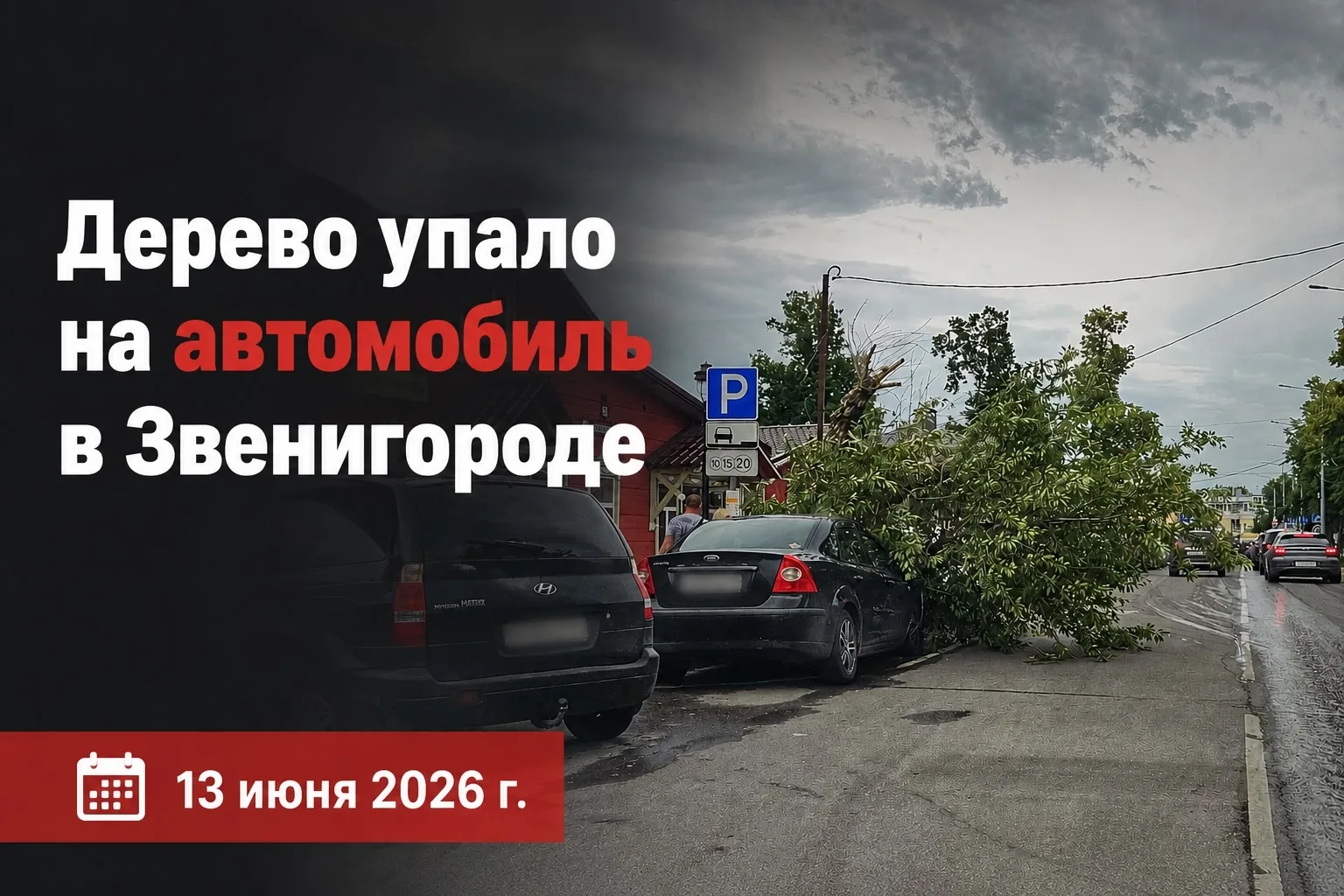 🌳 Дерево упало на автомобиль форд фокус на ул. Украинская в Звенигороде
