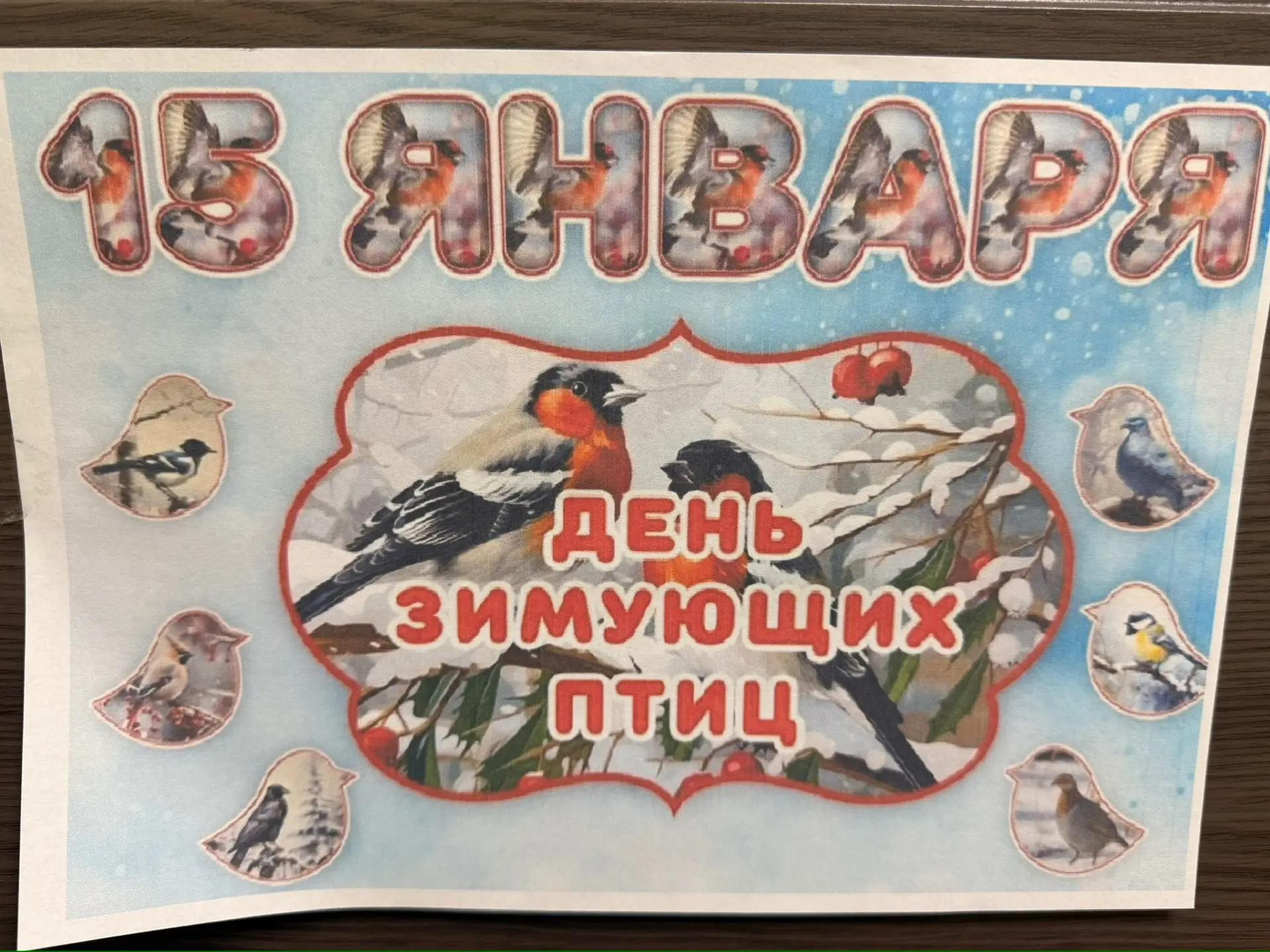 Нам без птиц никак нельзя – птицы лучшие друзья!»🐦‍⬛💙