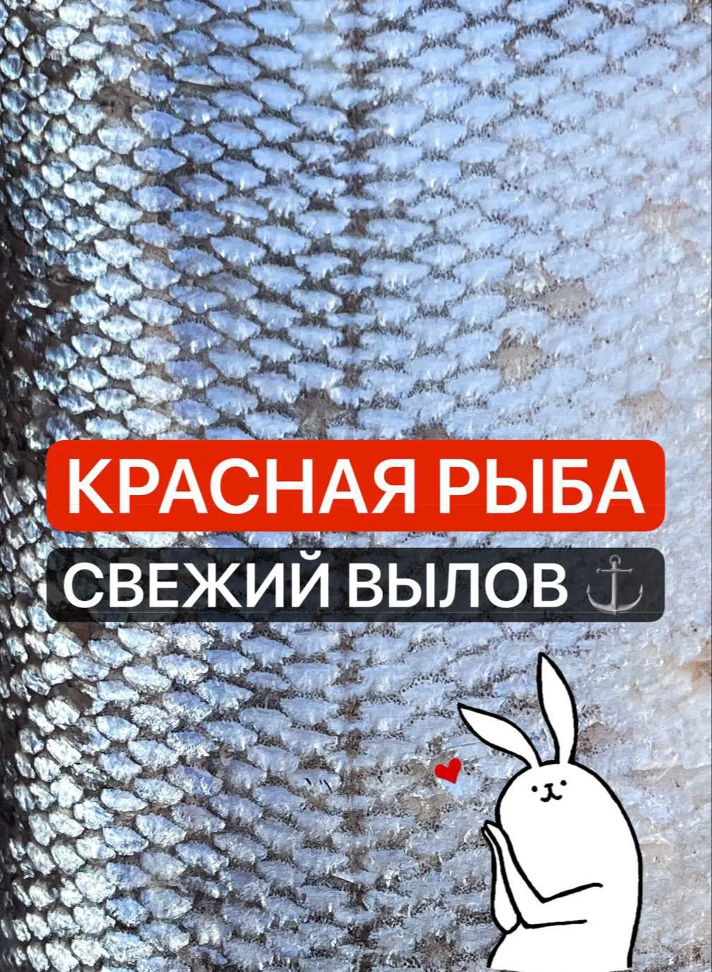 🔥🔥 КРАСНАЯ РЫБА 2026🔥🔥