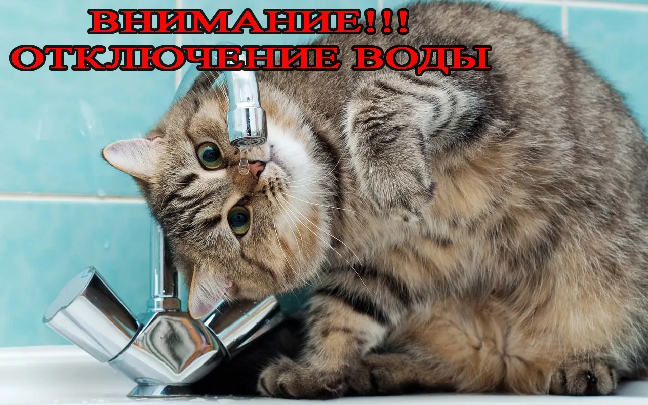 Уважаемые жители п. Золотухино с 08.03.2026 по 09.03.2026 года до 17.00 ориентировочно,...