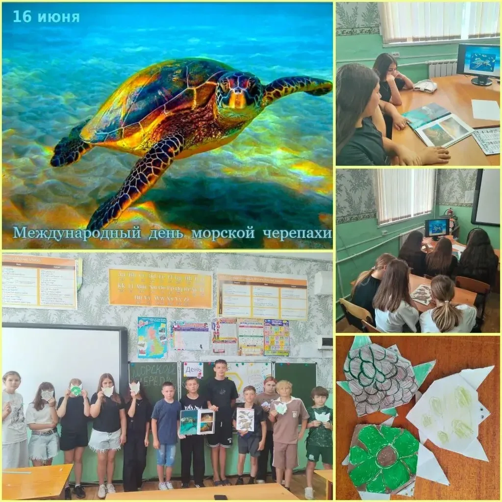 Международный день морской черепахи отмечается ежегодно 16 июня. Событие призвано привлечь внимание 