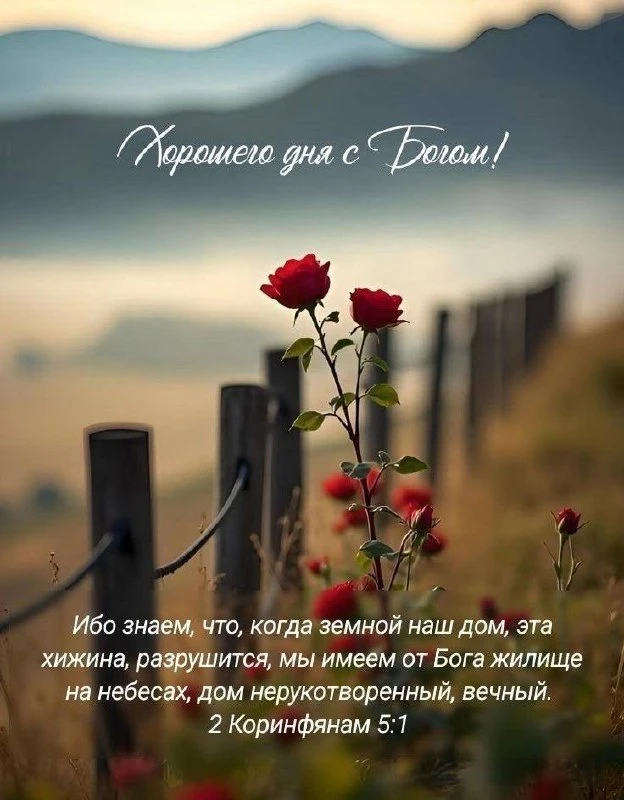 ❤️❤️❤️❤️Открытки❤️❤️❤️❤️
Теперь и в MAX