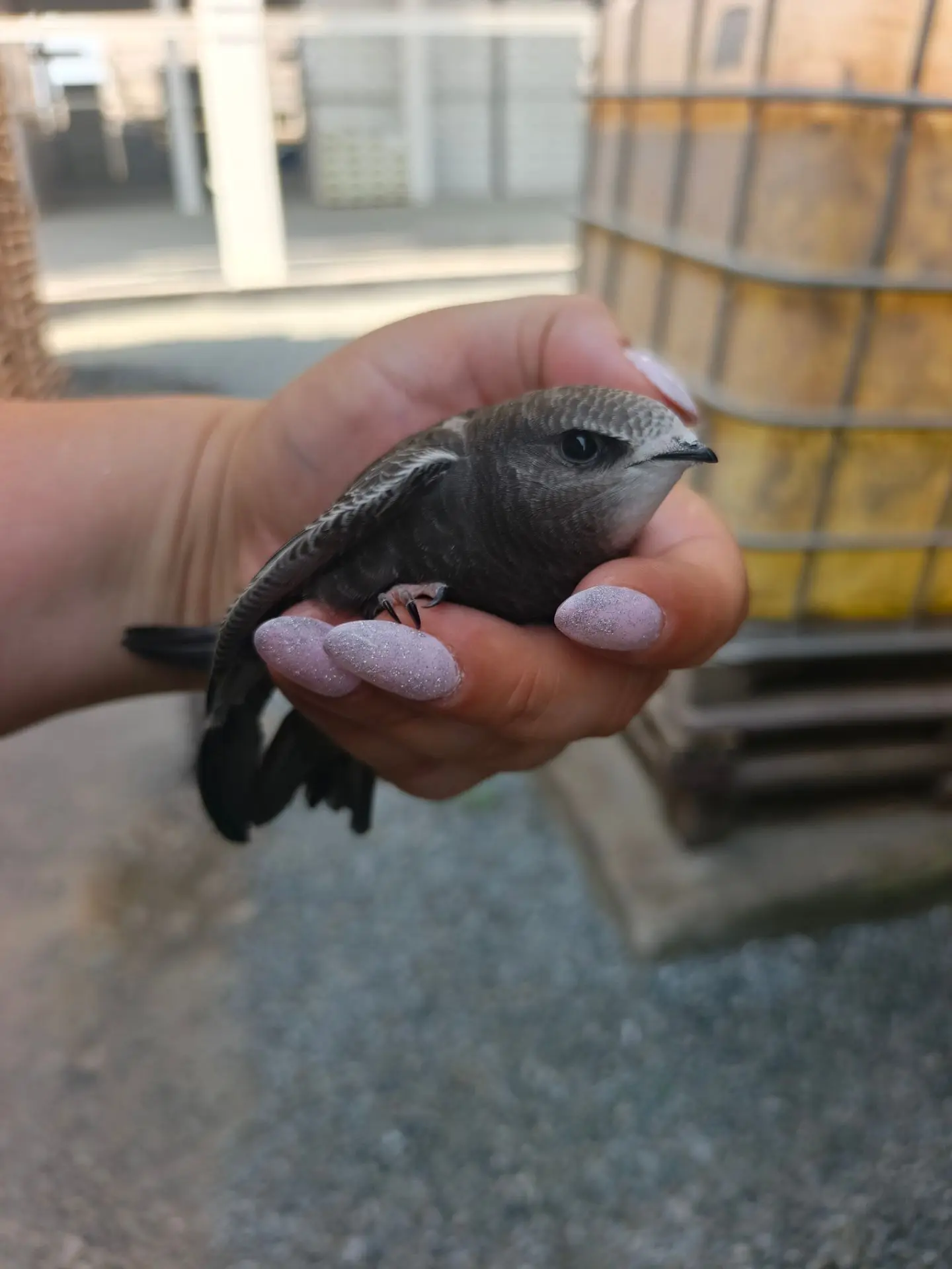 Вот такой малец сегодня был на работе 🫰 почти привык ко мне, подхожу и он уже рот откр...