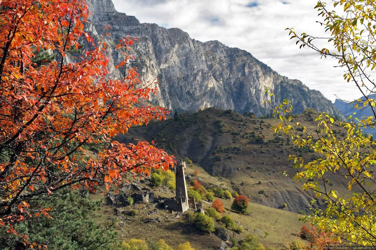 🍁 Посмотреть горы Ингушетии самое время в золотую осень.