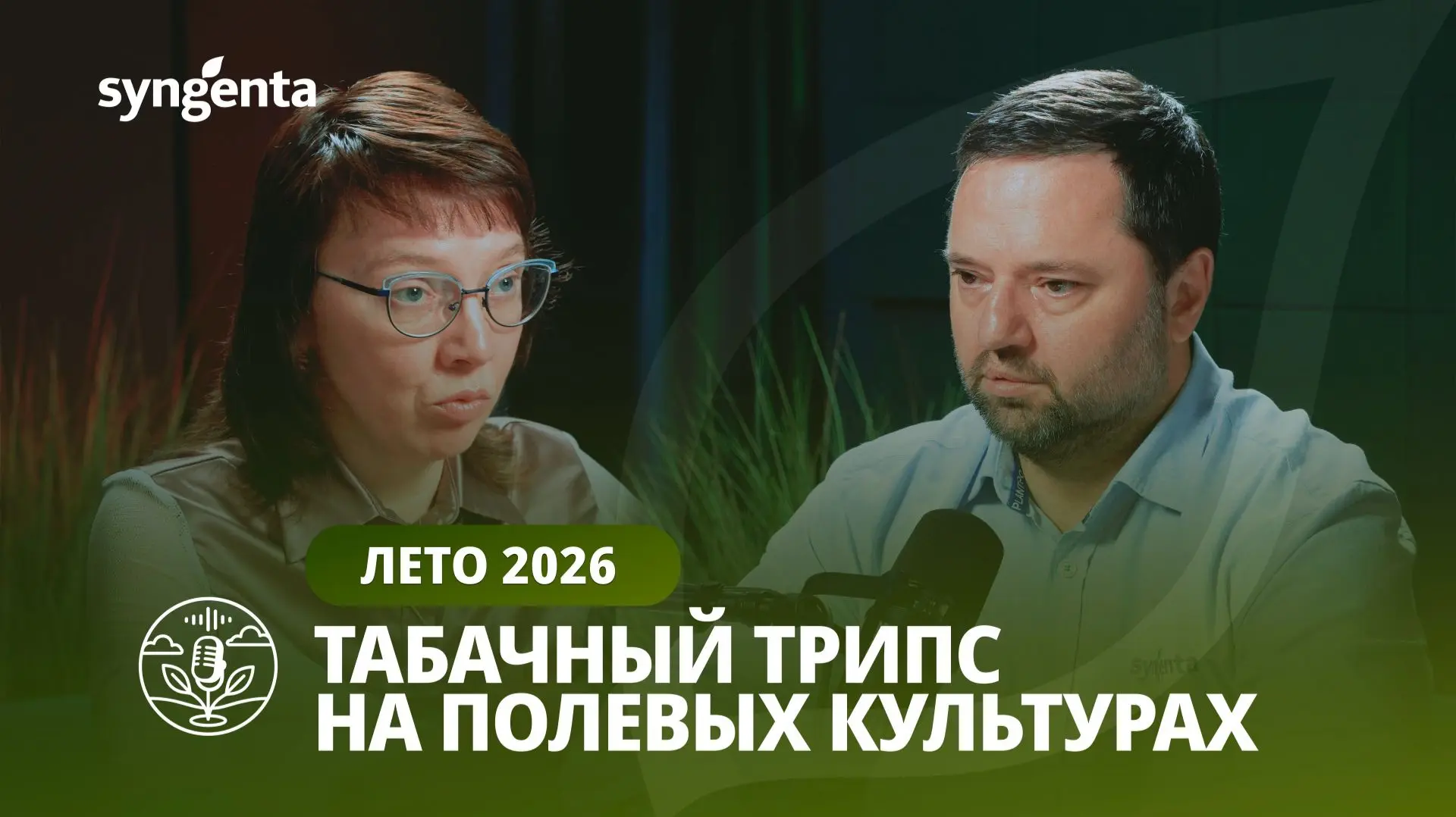#трипсы