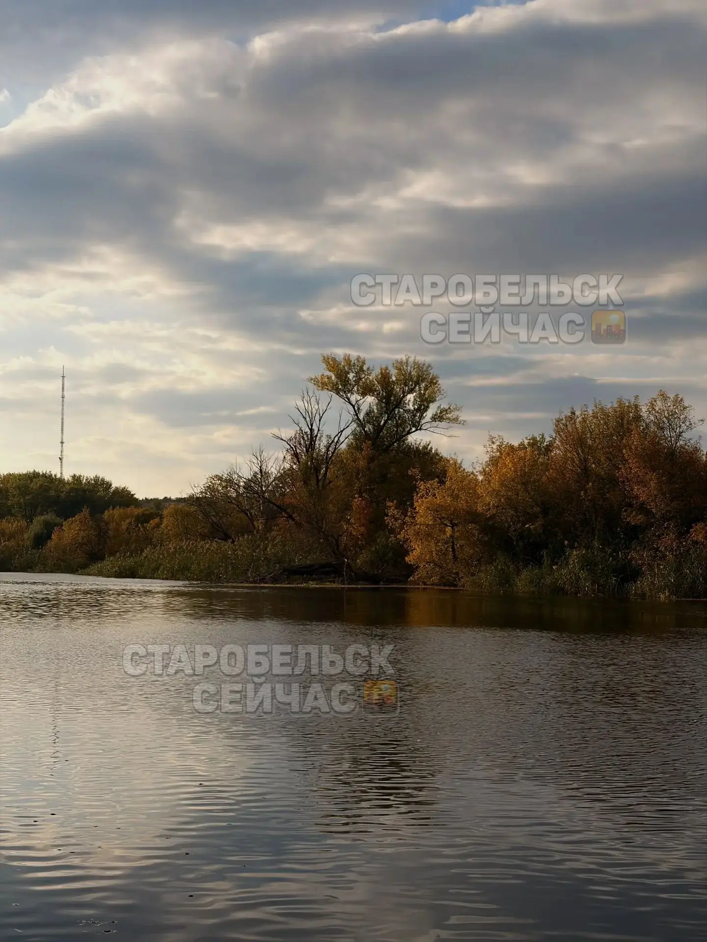 🍂 У Старобельска своя красивая осень.
