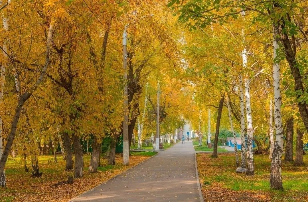 Доброе утро, Рубцовск🍂