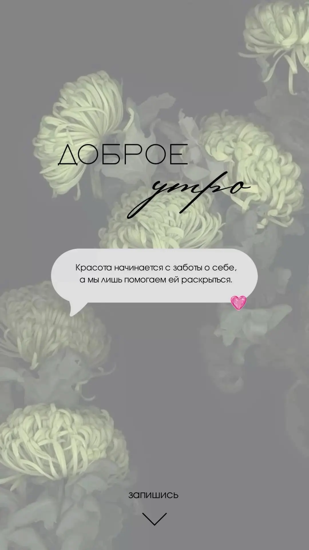 Доброго утра ,уважаемые гости нашей студии☀️