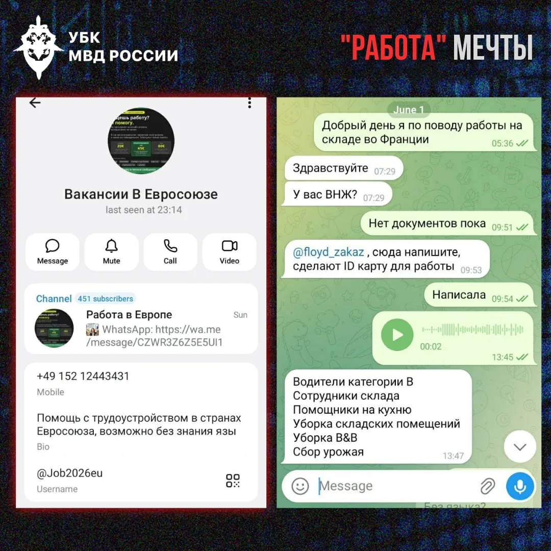 Работа мечты за границей: как мошенники используют тему трудоустройства

🌐Предложения о работе за р