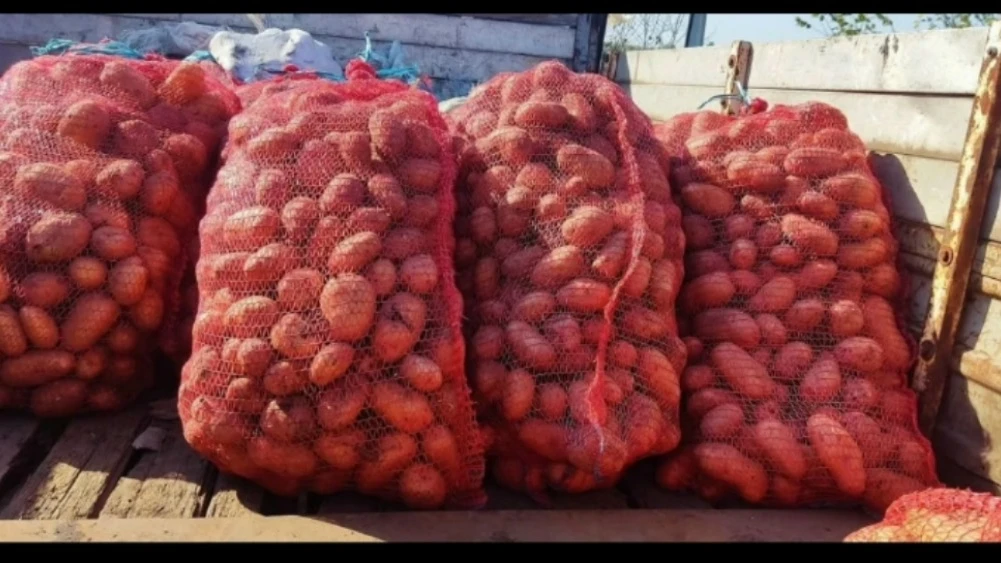 Продам картофель,  сетка 1000 рублей . В сетке 4 ведра.  Самовывоз.  Обращаться  в л.с....