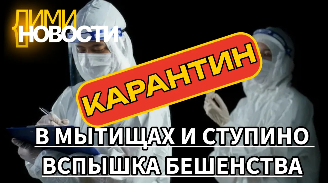 Власти Московской области зафиксировали вспышки бешенства и ввели карантин в городских округах Мытищ