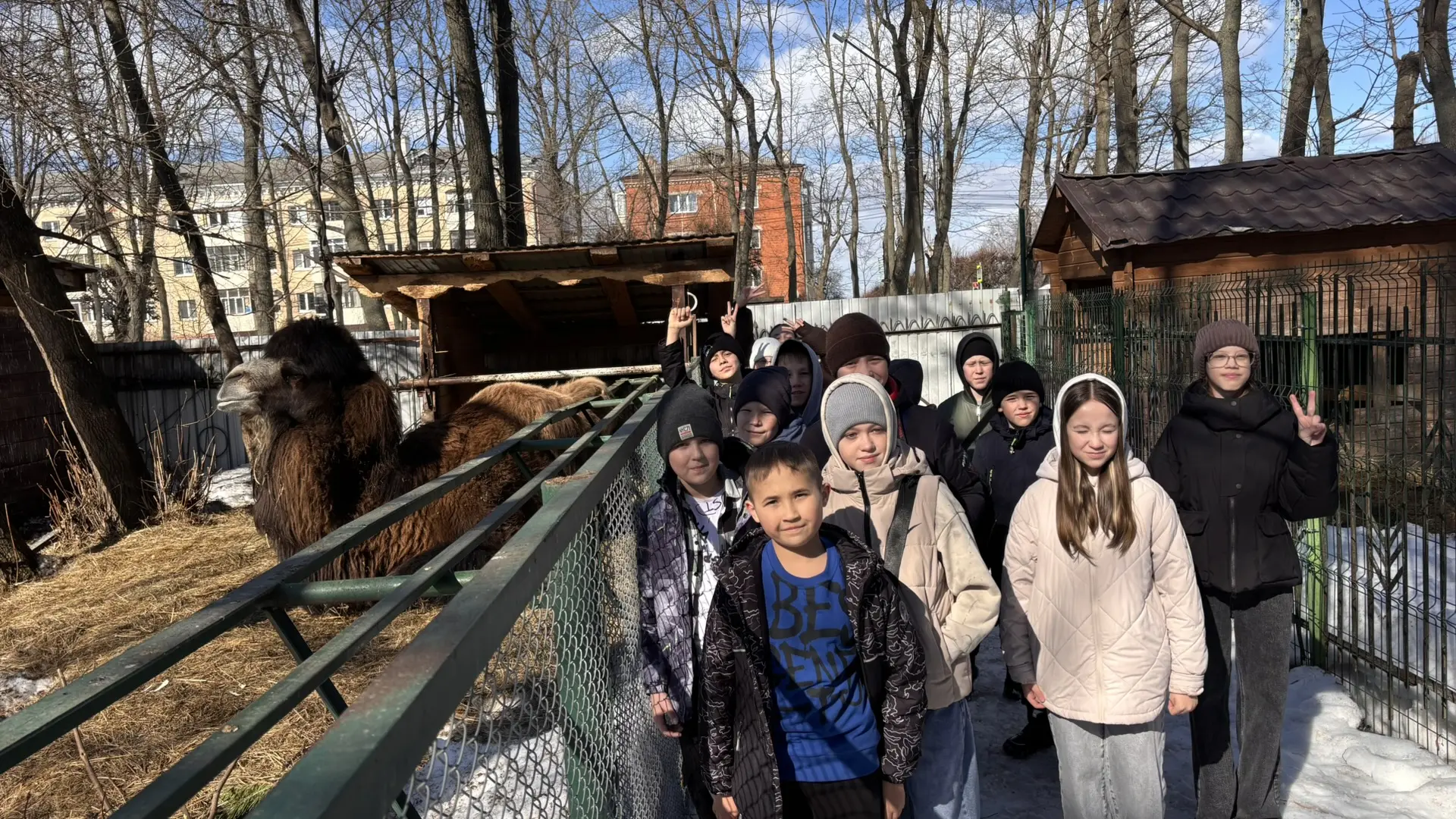 🐫Ученики 5Р класса посетили зооуголок «Ковчег» в Чебоксарском городском детском парке им. космонавта
