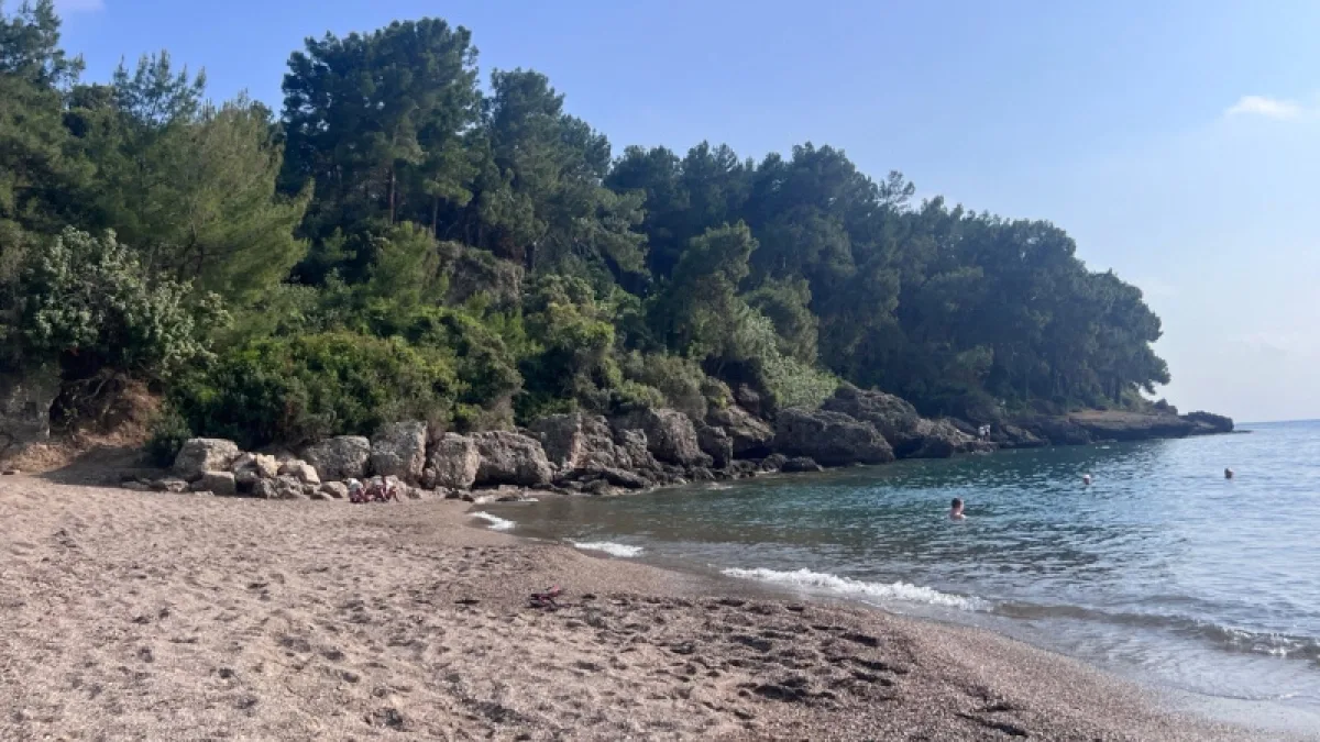 🌤️ Лето, жара, отпуск… Так и тянет сбежать поближе к воде! Но прежде чем отправиться на водоём, дав