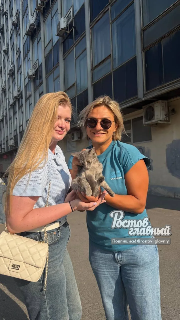 😿 Момент спасения кота из шахты Ворошиловского моста вчера днём!