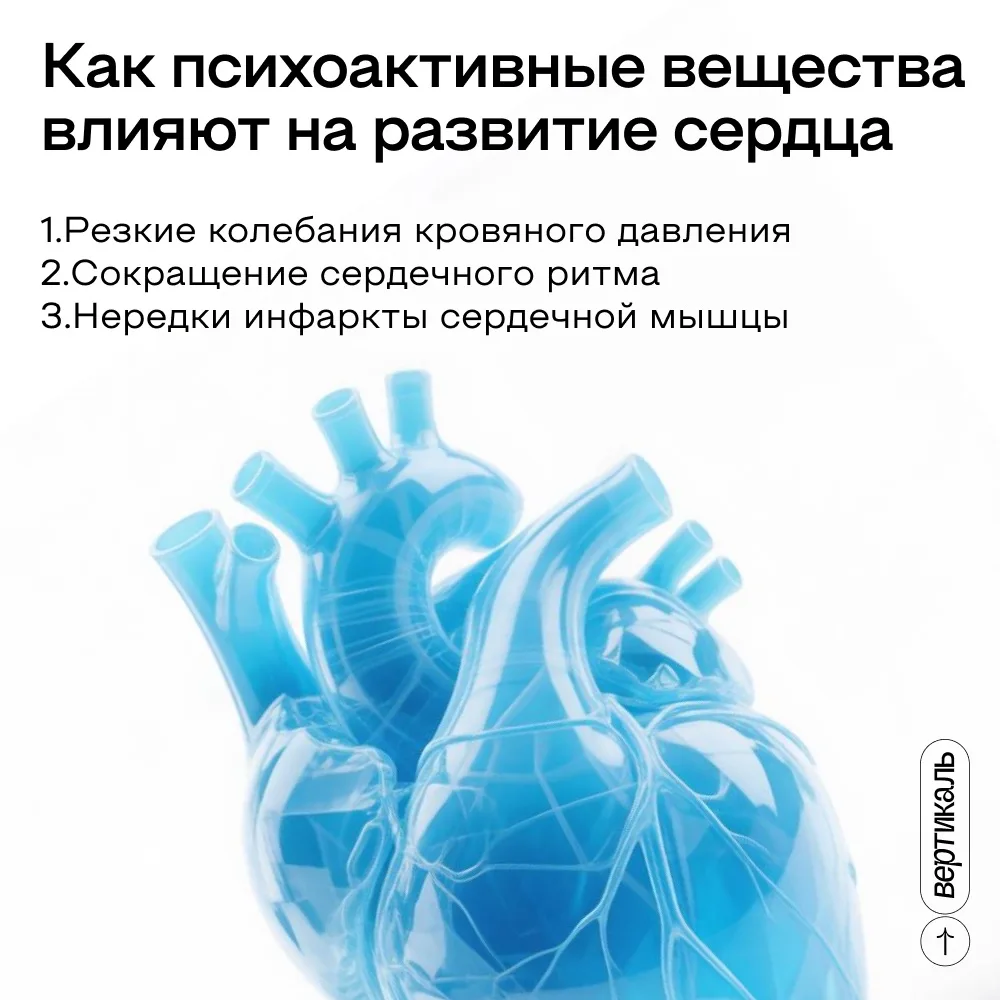 Твоя жизнь — твой выбор!🫀