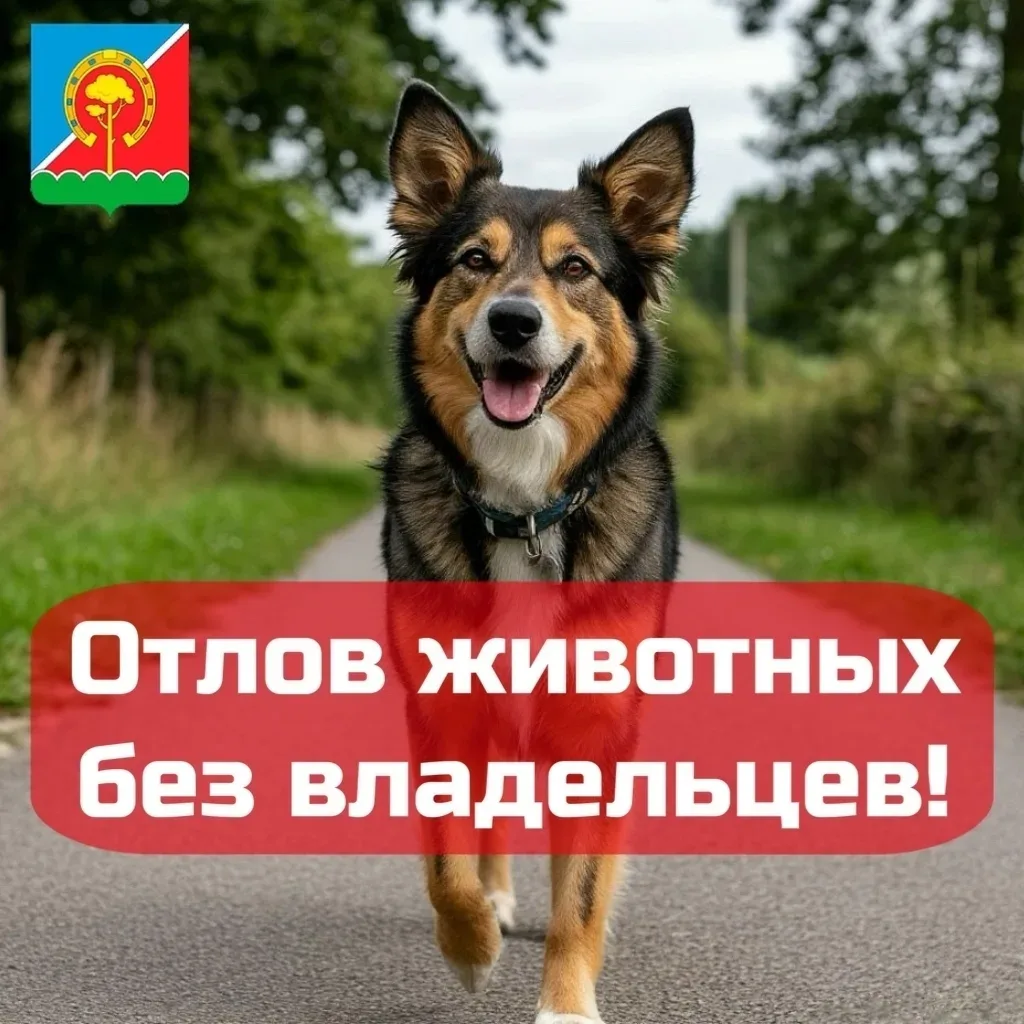 📢 Внимание, жители Павловского муниципального округа Ульяновской области!