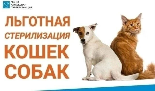 🎁Друзья, рады сообщить, что
