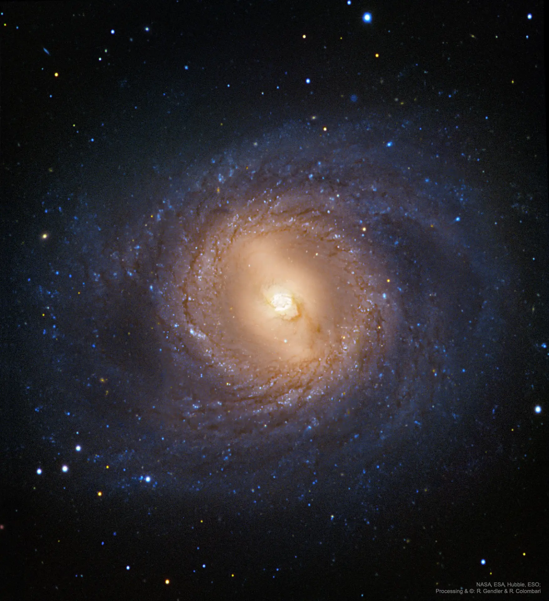 M95: спиральная галактика с внутренним кольцом [Космокадр 29.05.2019]