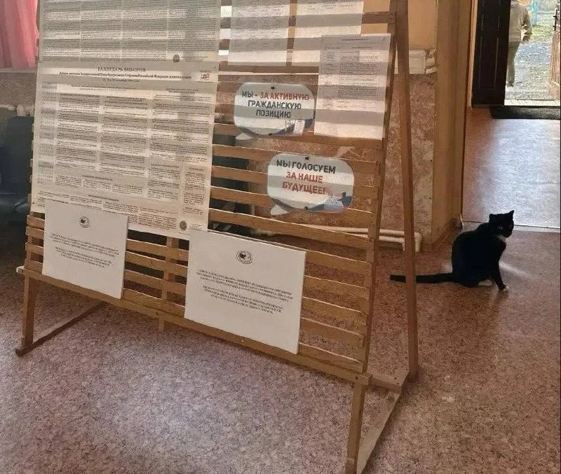 🐈‍⬛ Пушистый наблюдатель появился на одном из избирательных участков Камчатки.