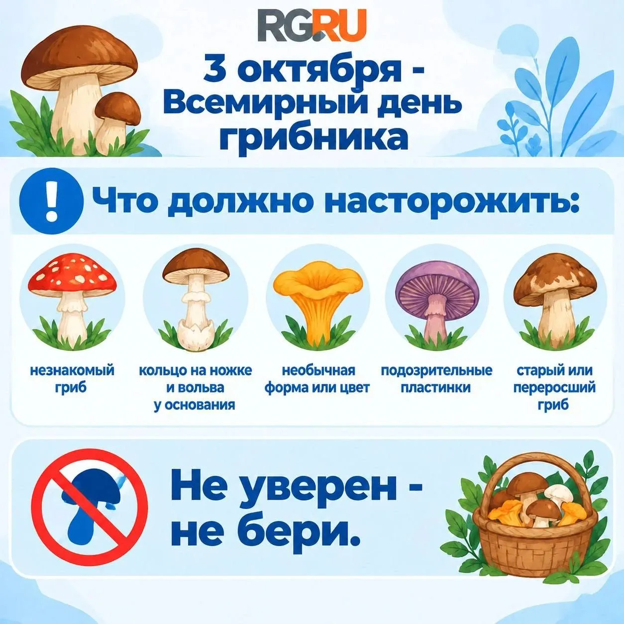 3 октября отмечается Всемирный день грибника - неофициальный праздник всех любителей "т...