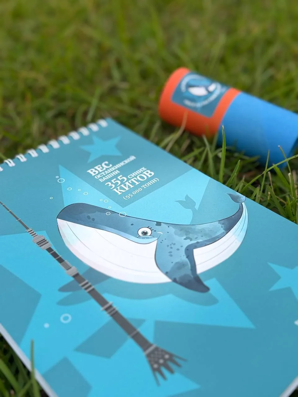 🐳 23 июля – Всемирный день китов и дельфинов.

Киты - самые крупные животные на Земле. Сегодня мы п