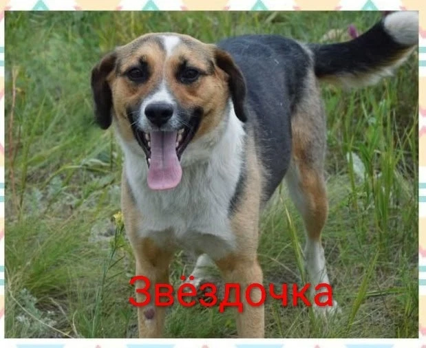 Саратов и область!