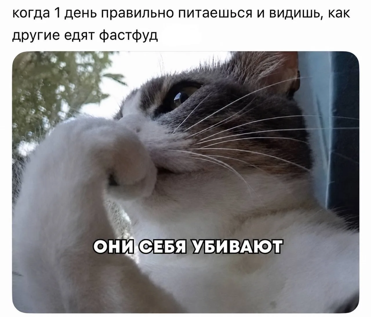 Что мы делали сегодня в клубе:

- танцевали под мой плейлист 

- уже распределились по городам, чтоб