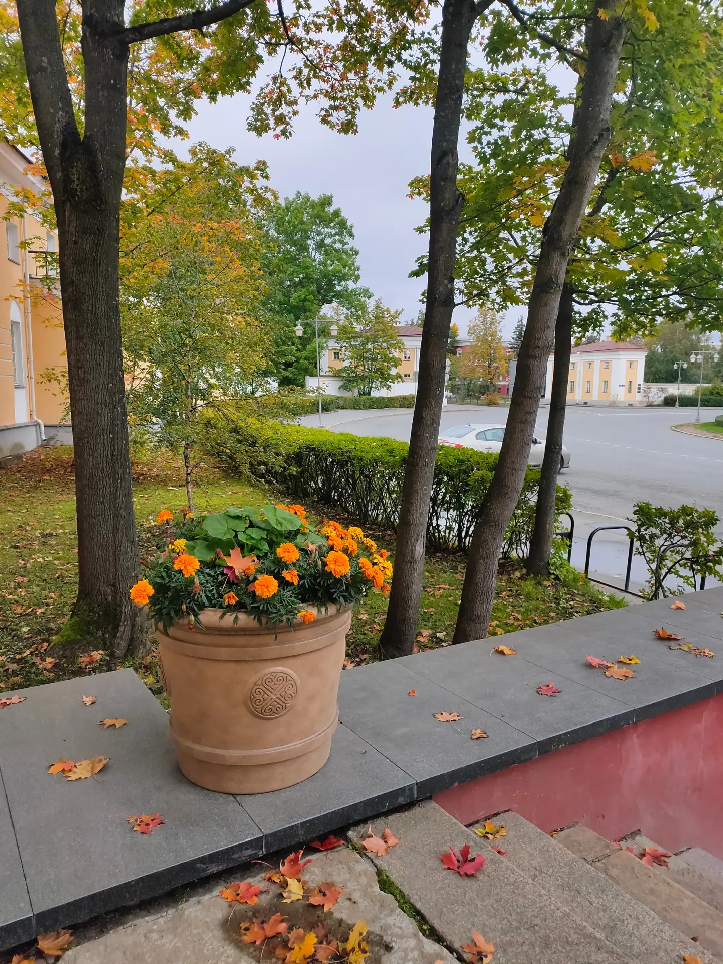 Вот и осень...