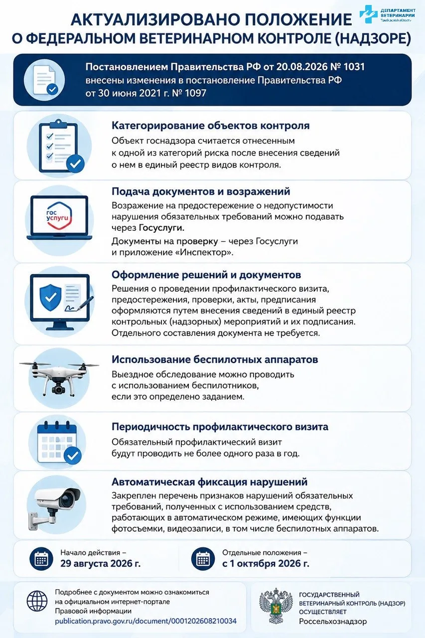 📌Постановлением Правительства РФ от 20.08.2026 № 1031 «О внесении изменений в постанов...