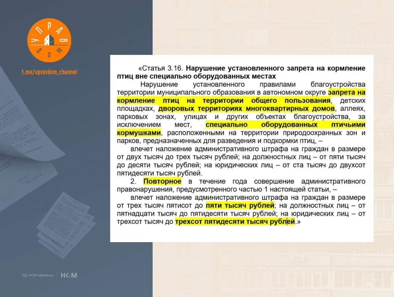 За кормление голубей во дворах «отсыпят» до 350 000 рублей штрафа.