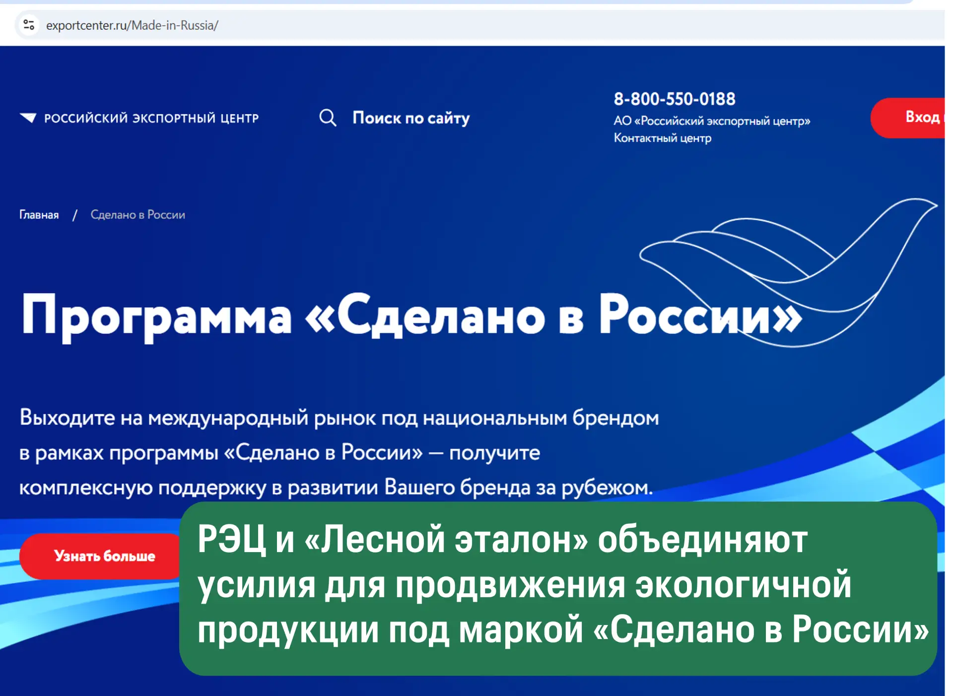 Российский экспортный центр (РЭЦ) и система добровольной лесной сертификации «Лесной эт...