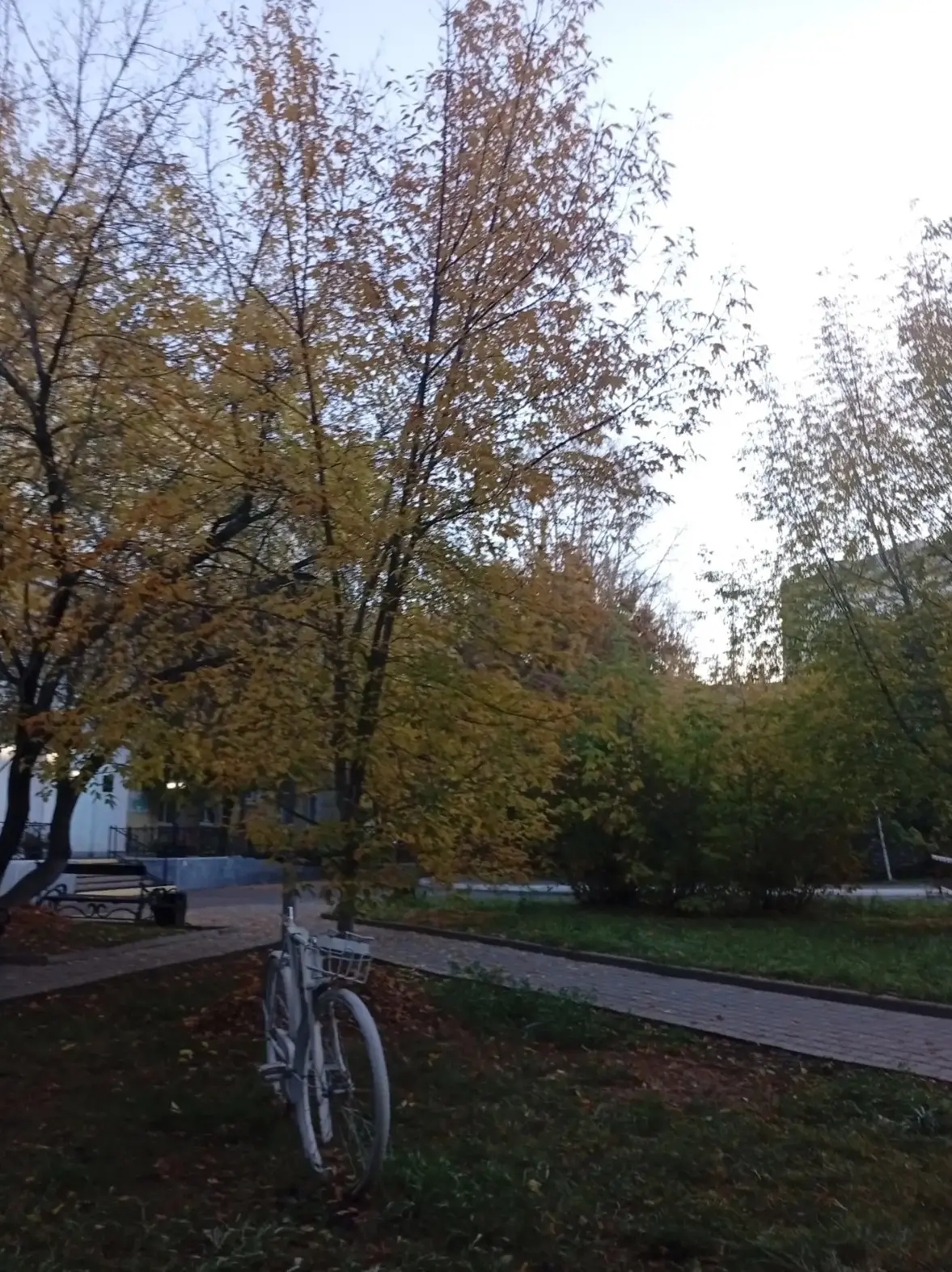 🍁 ОСЕННИЙ АНГАРСК🍁