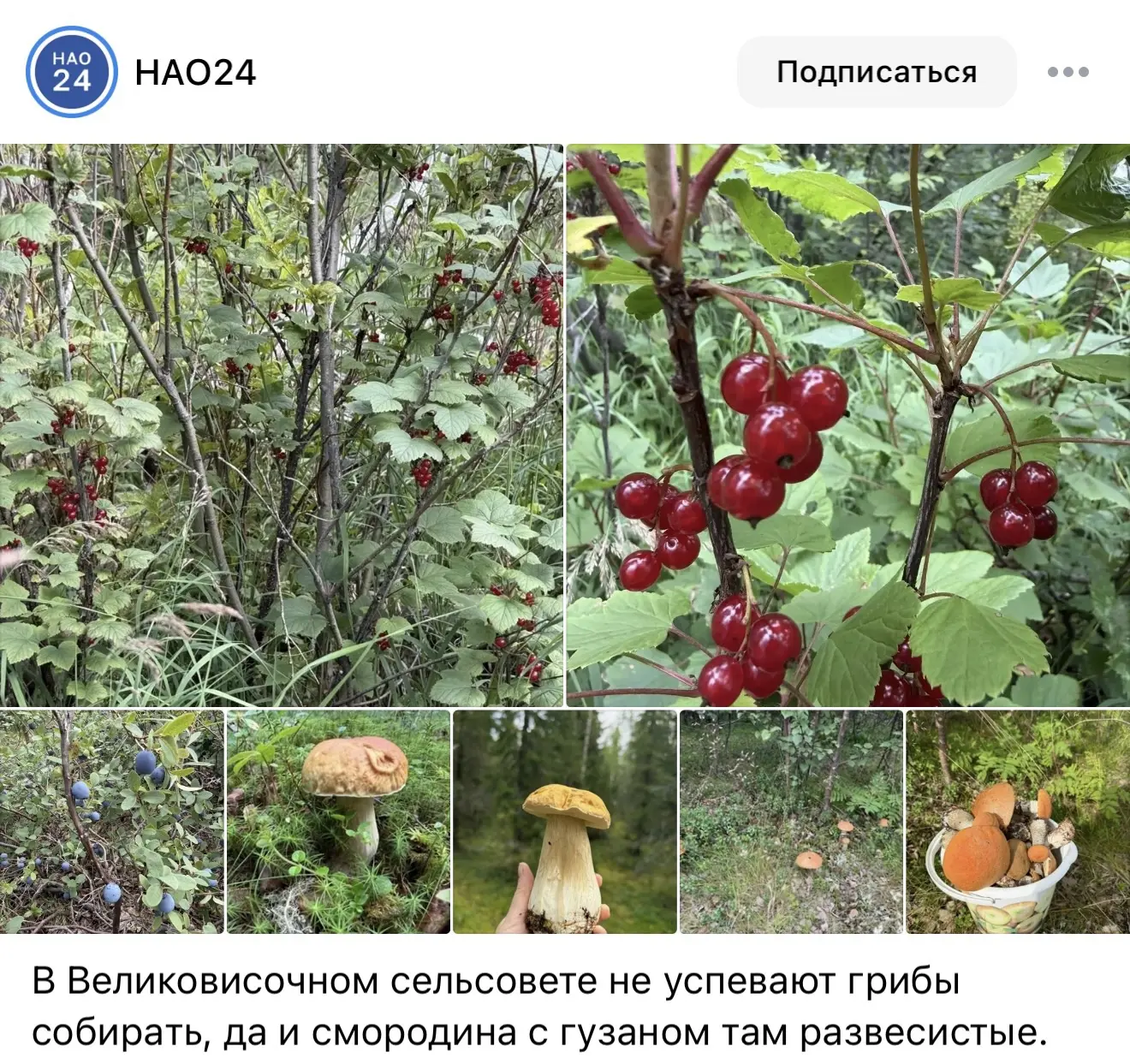 Медиа публикации