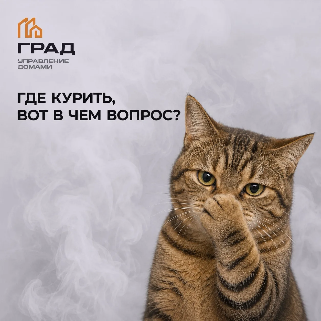 Где можно курить, а где нельзя? 🚭