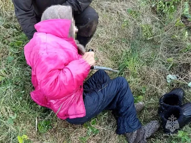 В Челябинской области пенсионерка, пытаясь спасти козлёнка, едва не утонула в техническ...
