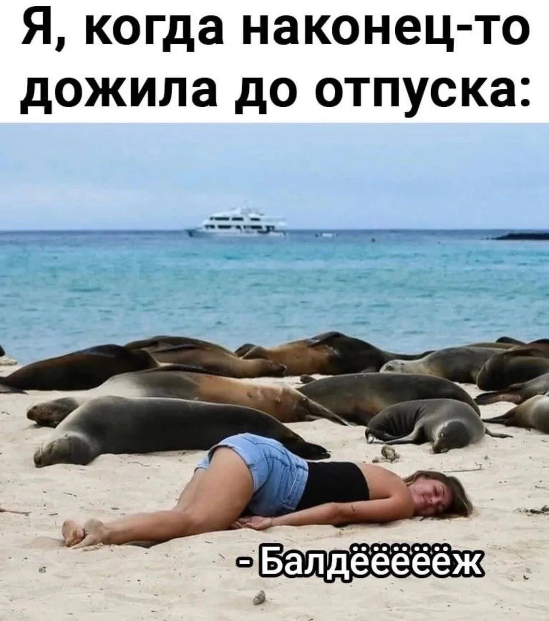 🔹 Настроение - тюленить 😄