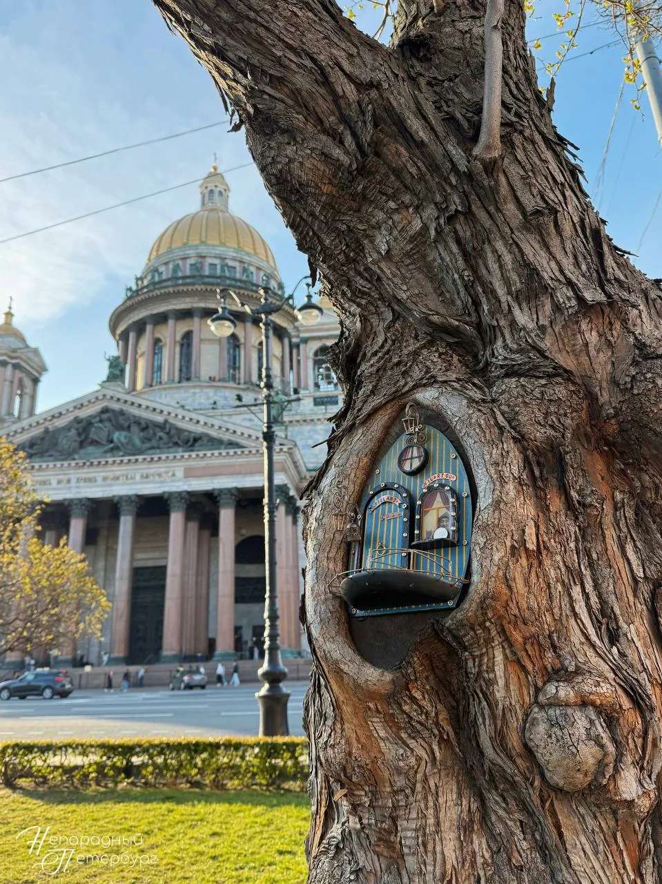 Сказочных дверей на деревьях стало больше 😍