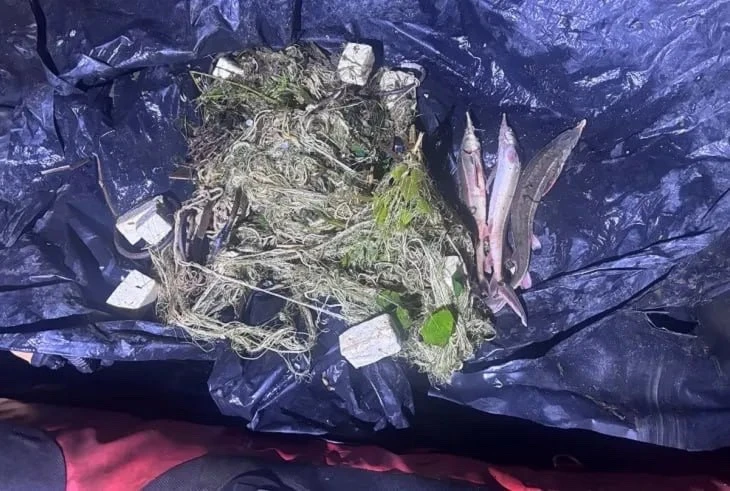 🎣 Ну всё, особо опасный преступник пойман. Теперь можно спать спокойно.