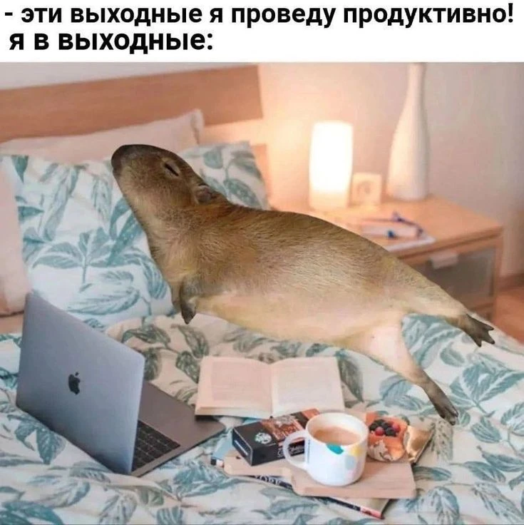 Подпишись, чтобы не потерять👇