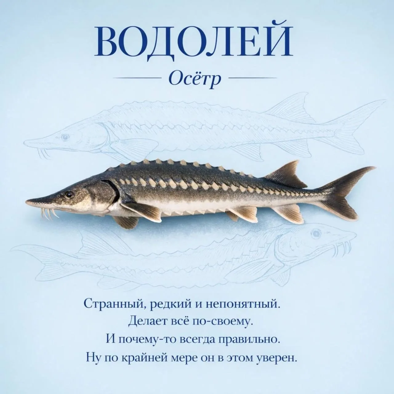 Знаки зодиака как рыбки, часть 2  Если согласны с постом, оставляйте реакцию ❤️  Астрология | Подпиш